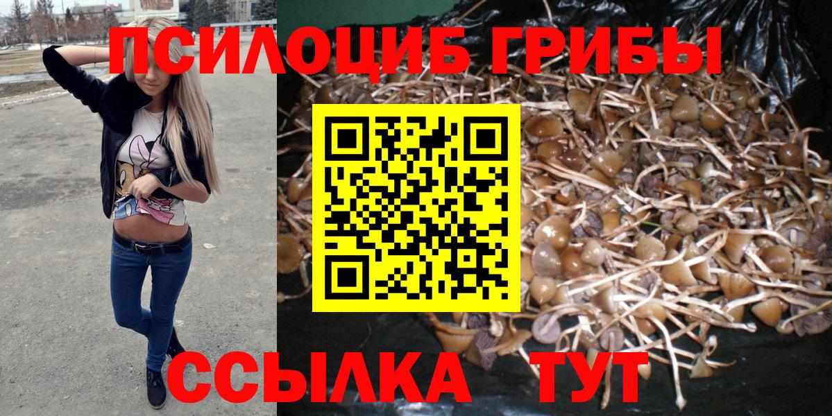Псилоцибиновые грибы мицелий  Галлюциногенные грибы Psilocybine cubensis  Саяногорск  Вход с VPN 