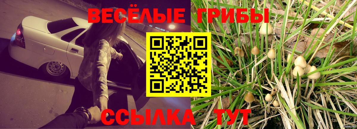 Галлюциногенные грибы Magic Shrooms Саяногорск